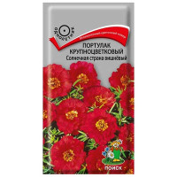 Портулак Солнечная страна вишневый Поиск Ц