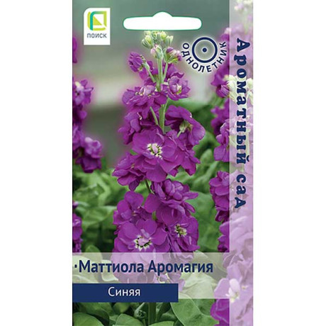 Маттиола Аромагия Синяя Поиск Ц