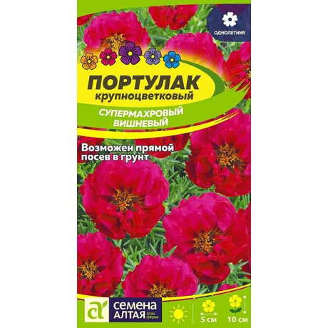 Портулак Супермахровый Вишневый СемАлт Ц