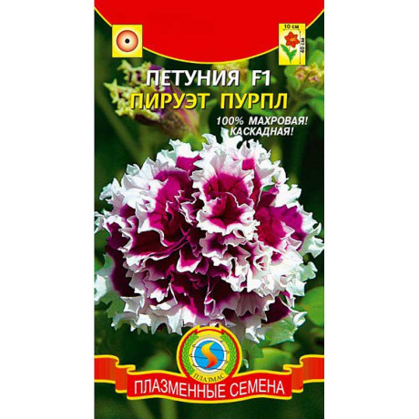 Петуния Пируэт пурпл Плазма Ц