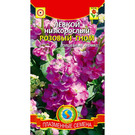 Левкой Розовый Гном низкоросл. Плазма Ц
