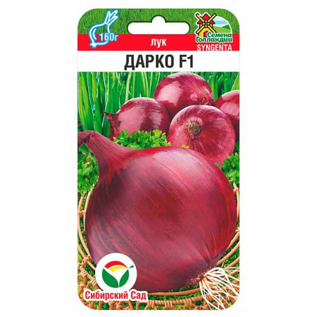Лук Дарко СибСад