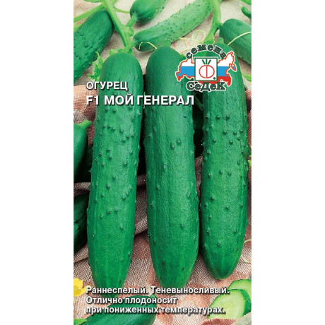 Огурец Мой Генерал Седек Ц