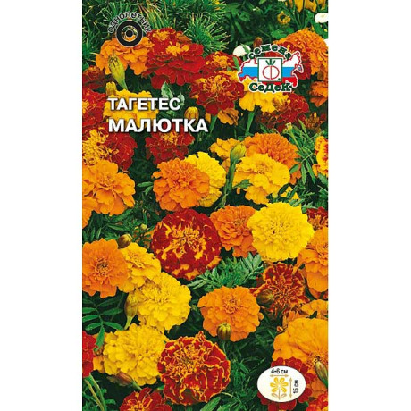 Тагетес Малютка Седек Ц З