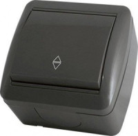 TDM Селигер выкл. ОУ 1 кл. (перекл.) проходной IP44 10А графит (10!) SQ1818-0311