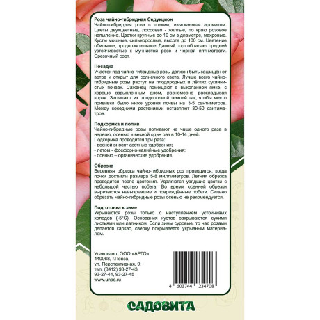 Роза чайно-гибридная Седукцион Садовита