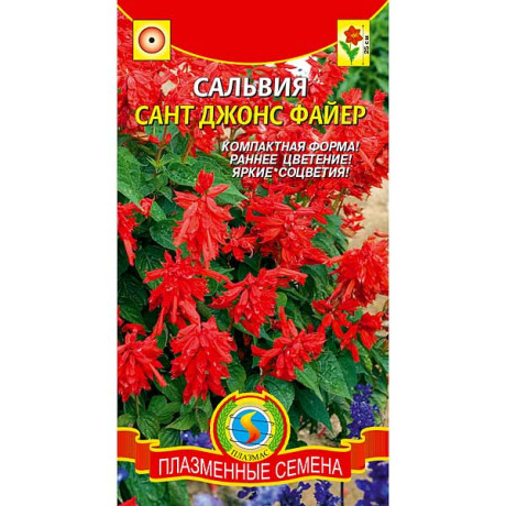 Сальвия Сант Джонс Файер Плазма Ц