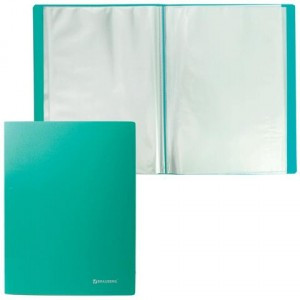 Папка  20 вклад. BRAUBERG "Бюджет" зеленая, 0,5мм