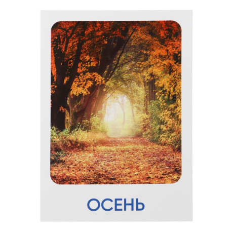 ИГРОЛЕНД Карточки развивающие "Окружающий мир", картон, 15х21,5см, 16 дизайнов