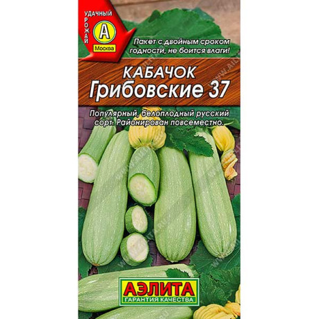 Кабачок Грибовский белопл. Аэлита Ц