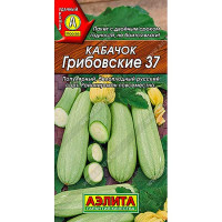 Кабачок Грибовский белопл. Аэлита Ц
