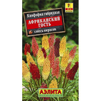 Книфофия Африканский гость Аэлита Ц