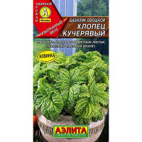 Базилик Хлопец кучерявый Аэлита Цх10