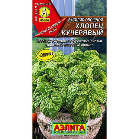 Базилик Хлопец кучерявый Аэлита Цх10