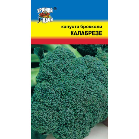 Капуста Калабрезе брокколи Урожай у дачи Ц