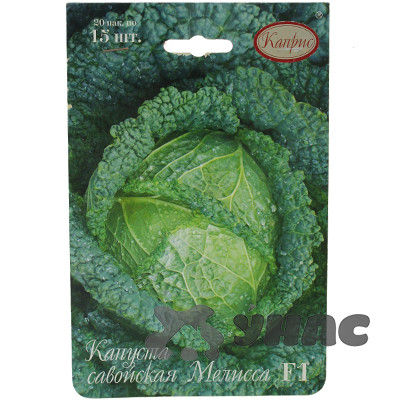 Капуста савойская Мелисса (Нидерланды) Каприс