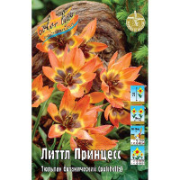 Тюльпан Литтл Принцесс 6/7 10 шт