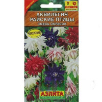 Аквилегия Райские птицы махровая смесь Аэлита Ц