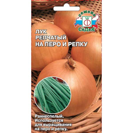 Лук на перо и репку Седек Ц