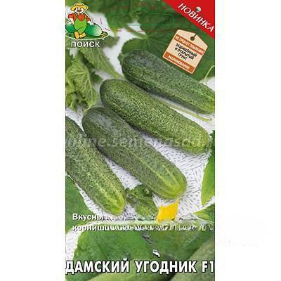 Огурец Дамский Угодник Поиск Ц