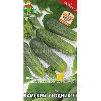Огурец Дамский Угодник Поиск Ц