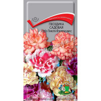 Гвоздика Шабо Пикоти Фэнтэзи микс Поиск Ц