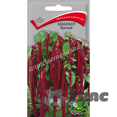 Амарант Красный Поиск Ц