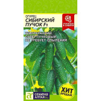 Огурец Сибирский пучок СемАлт Ц