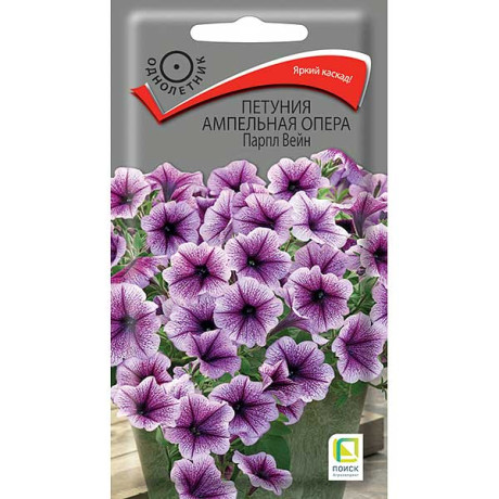 Петуния Опера Парпл Вейн Поиск Ц