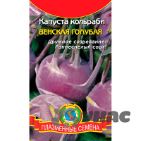 Капуста кольраби Венская голубая Плазма Ц