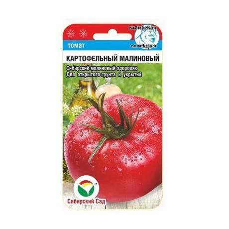 Семена Томат Картофельный малиновый Сибирский Сад