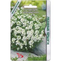 Гутчинзия Ледяные брызги альпийская Биотехника Ц