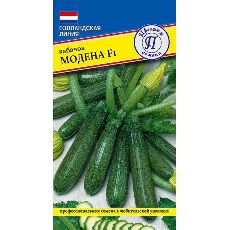 Кабачок Модена Престиж Ц