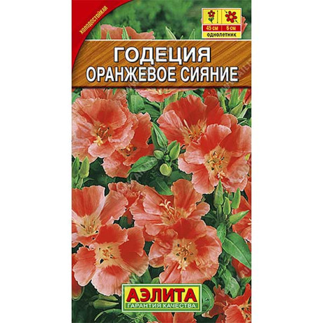 Годеция Оранжевое Сияние Аэлита Ц