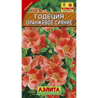 Годеция Оранжевое Сияние Аэлита Ц