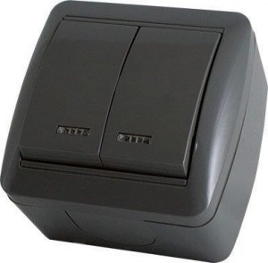 TDM Селигер выкл. ОУ 2 кл. (инд.) IP44 10А графит (10!) SQ1818-0304