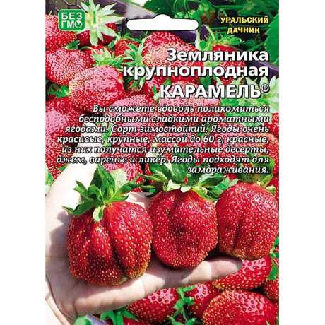 Земляника Карамель б/ф Марс Ц