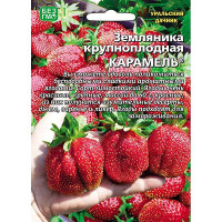 Земляника Карамель б/ф Марс Ц