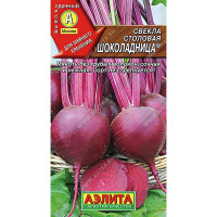 Свекла Шоколадница Аэлита Ц