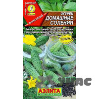 Огурец Домашние соления Аэлита Цх10