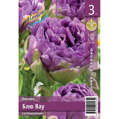 Тюльпан Блю Вау 11/12 2 шт