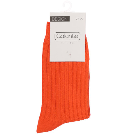 GALANTE Носки мужские р.27-29, 85% хлопок,10% полиэстер, 5% спандекс, 1-2 диз, НВ22-10