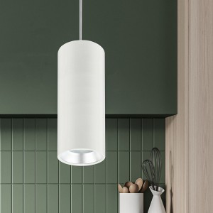 ЭРА PL12 GX53 WH/SL Подвес, алюминий, max 12W, 96х80мм, белый/серебро 7923