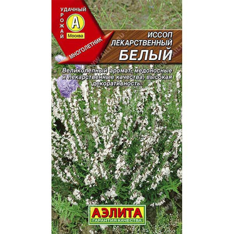 Иссоп лекарственный белый Аэлита Ц