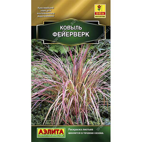 Ковыль Фейерверк Аэлита Ц х10