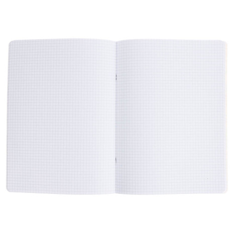 Тетрадь общая "Botanica", формат А4, 48л. в клетку, на скобе, скругленные углы, в ассортим.