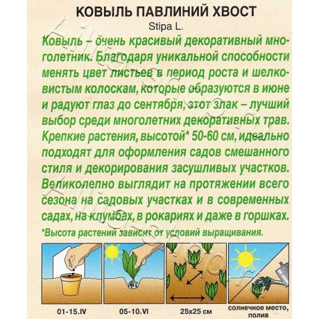 Ковыль Павлиний хвост Аэлита Ц х10