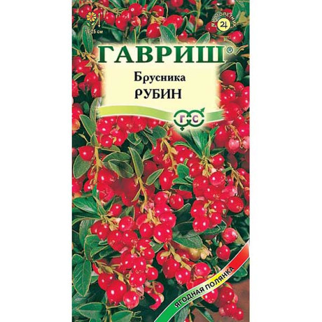 Брусника Рубин Гавриш Ц