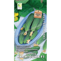 Огурец Капитошка Поиск Ц