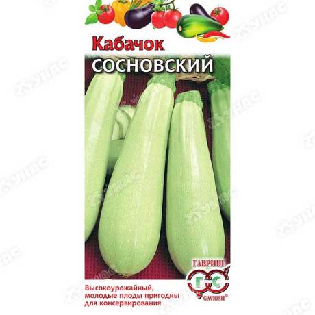 Кабачок Сосновский Гавриш Ц